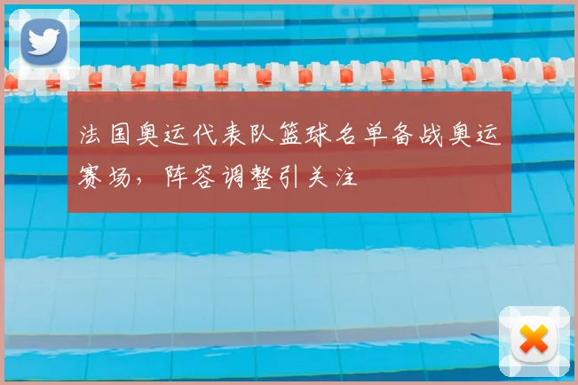 法国奥运代表队篮球名单备战奥运赛场，阵容调整引关注